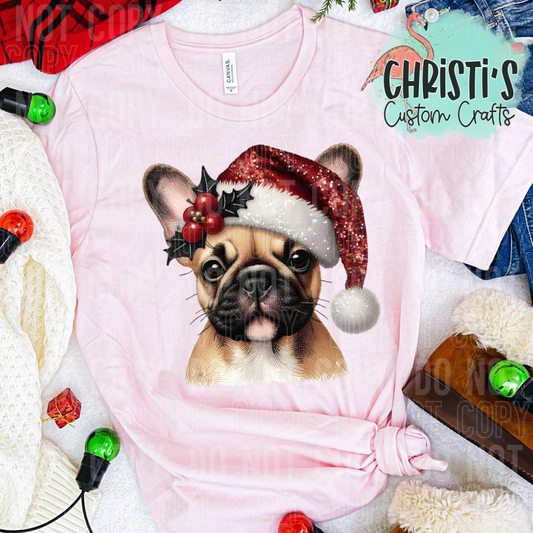 Frenchie Dog with Santa Hat
