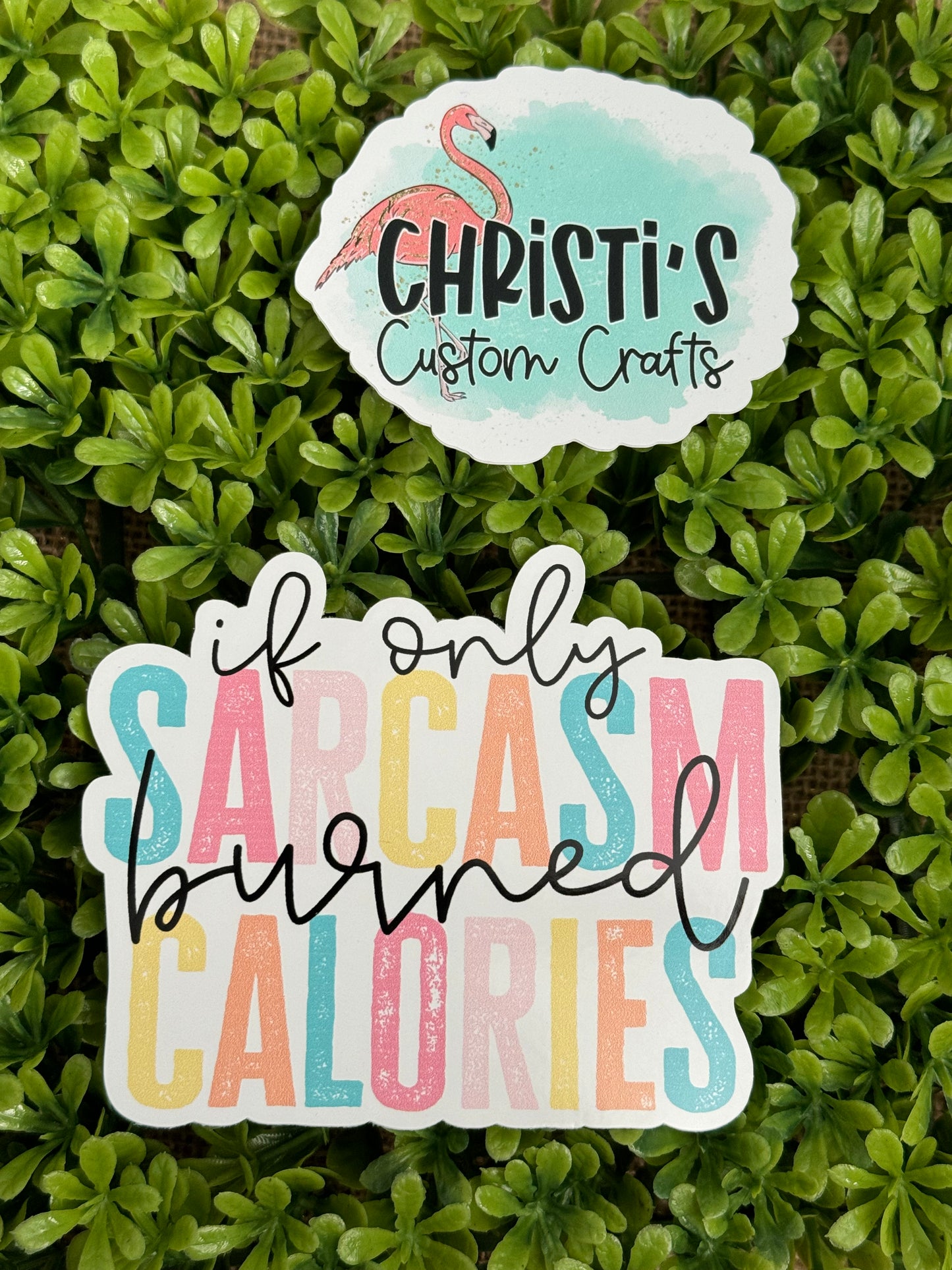 If Only Sarcasm Burned Calories
