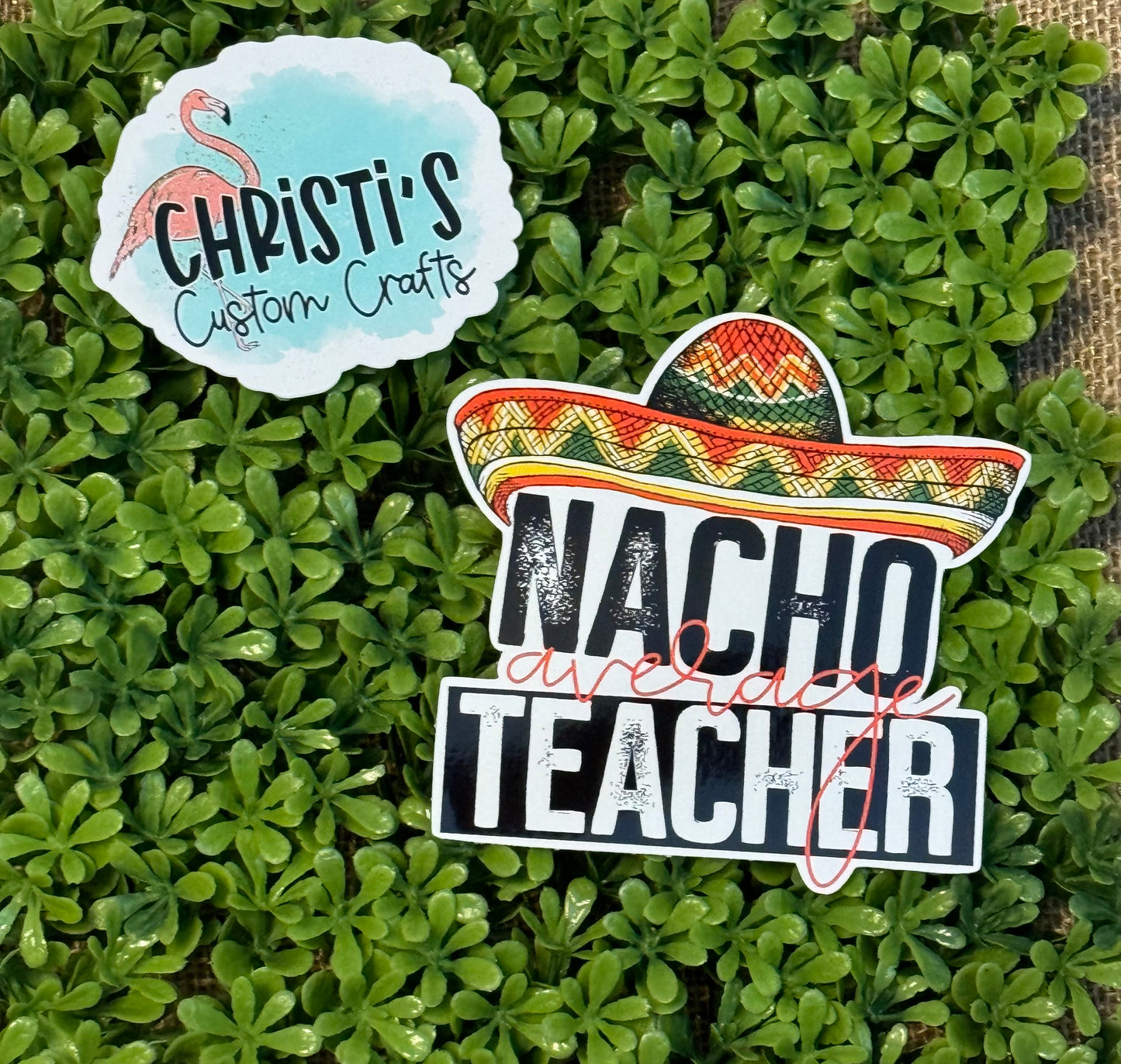 Nacho average Teacher