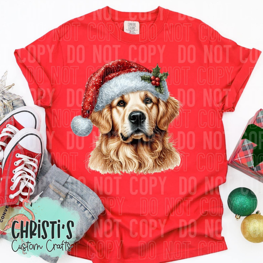 Golden Retriever Dog with Santa Hat